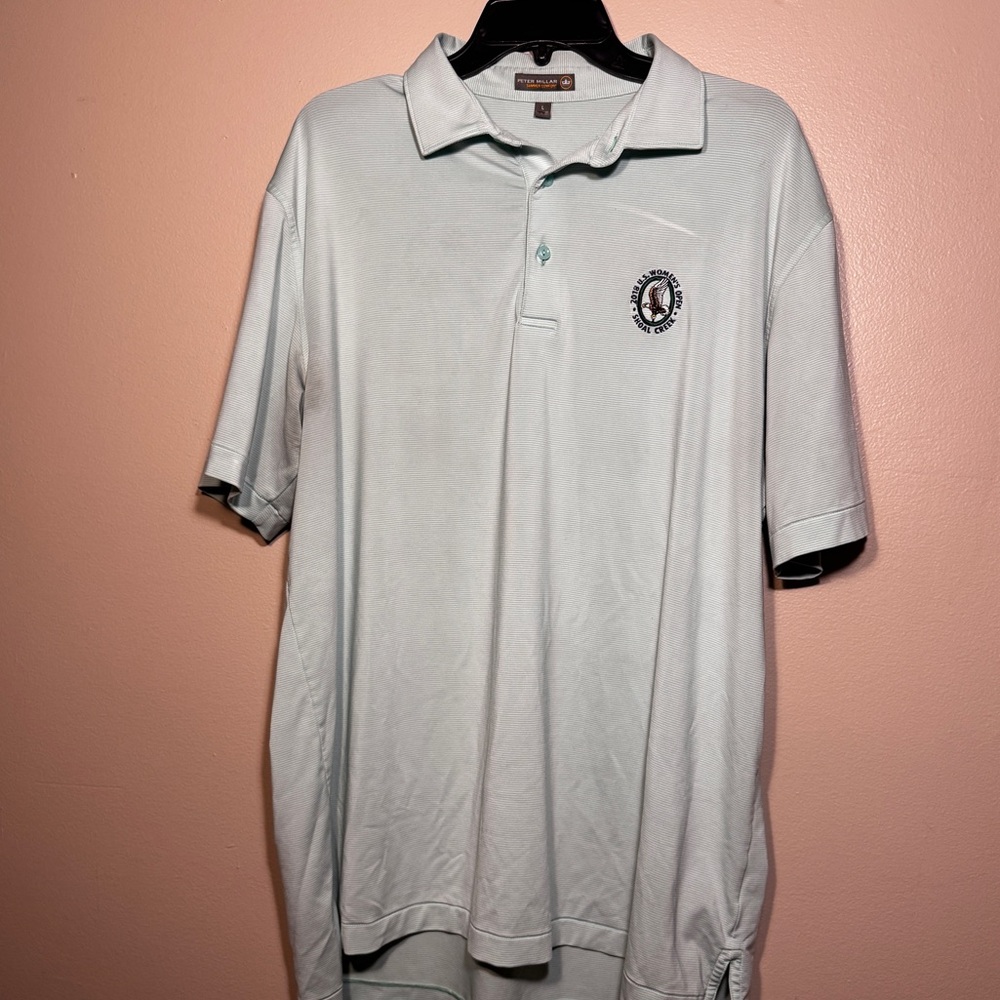 Peter Millar Golf Polo, Large, Green & White Striped Performance